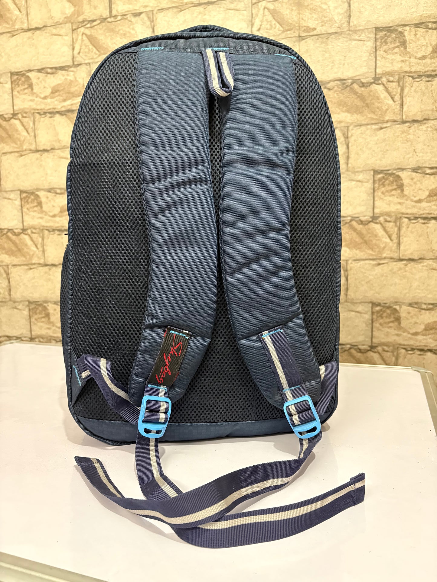 Custom Travel & College Backpack for Corporate, School & Promotional Use | MOQ 100